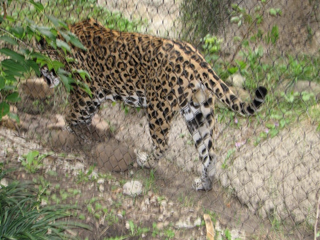 20100206 532.JPG